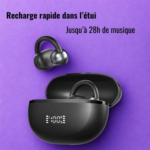 Ecouteurs Haylou NOIR